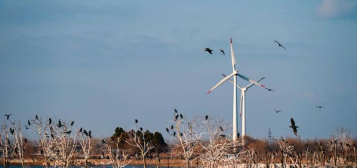 FP en sectores emergentes